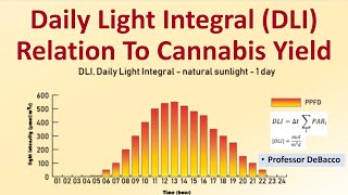 Daily Light Integral DLI Relation To Cannabis Yield [upl. by Ettevahs]