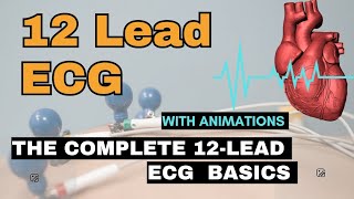 The Complete 12Lead ECG BasicsEasy Guide to Understanding ECG Leads amp Placement [upl. by Trebmer]