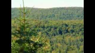 Haliburton Forest  Overview and History [upl. by Errol884]