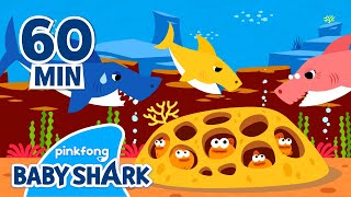 Original Baby Shark 1 hour  Baby Shark 1hour  Compilation  Baby Shark Official [upl. by Farra]