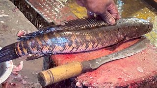 Amazing Cutting Skills  Big SolaRohuCarp Fish Cutting Skills In Fish Market [upl. by Anilec]