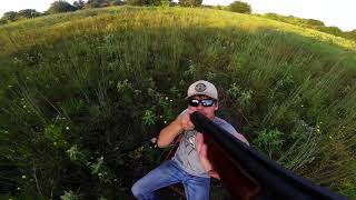 Texas dove hunt REMINGTON 870 [upl. by Erkan]