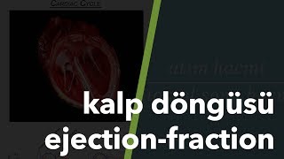 Kalp Döngüsü EjectionFraction 11 [upl. by Margaret]