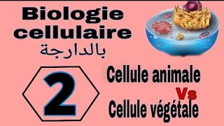 شرح بالدارجةلأول درس بمادة Biologie cellulaire s1 L1Snv سنة الأولى تخصص بيولوجي الجزء الثاني [upl. by Shatzer]