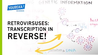 Retroviruses Transcription in Reverse [upl. by Eriuqs]