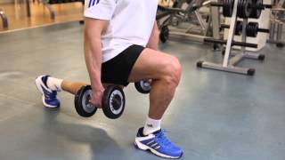 Dumbbell Lunges  Thighs Exercise [upl. by Ataynek]