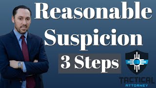 Reasonable Suspicion  Prosecutor Explains [upl. by Lanoil]