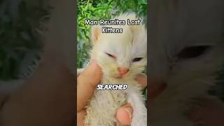 Rescuing Lost Kittens  Pet Animals [upl. by Ahtnams]