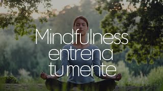 Como entrenar tu mente mindfulness que es y como practicarlo [upl. by Selhorst]