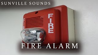 Fire Alarm  Amazing Sounds with Peter Baeten [upl. by Ttihw]