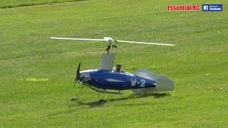 AMAZING RADIO CONTROLLED RC GYROCOPTER  AUTOGYRO [upl. by Cornia]