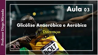 AULA 03 TIPOS DE GLICÓLISE – Diferença entre Glicólise Anaeróbica e Aeróbica [upl. by Larrej]