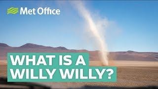 What is a willy willy and how do they form [upl. by Stevana]