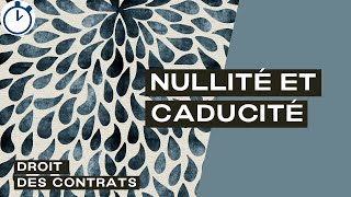 La Nullité relative et absolue et la Caducité  Droit des Contrats [upl. by Verada]