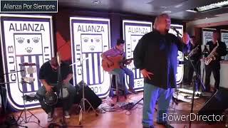 GALLO NEGRO  CANCION A ALIANZA LIMA   Letra [upl. by Whitten]