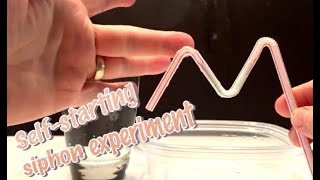 Selfstarting siphon experiment How to make a self starting straw siphon [upl. by Hardunn]