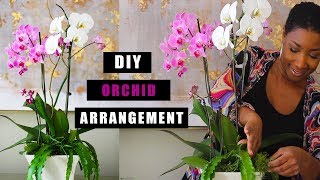 How to How to Make an Orchid Arrangement  SIMPLE TRICK FOR A HIGH END LOOK 🌺 [upl. by Kaitlynn]