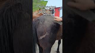 How Farriers Brush Their Horses  Spring is Here  So Satisfying foryou horse farrier asmr [upl. by Velasco]