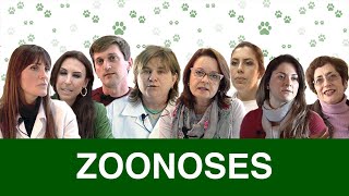 Zoonoses [upl. by Aralc]