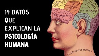 14 Curiosidades Sobre La Psicología [upl. by Hsina]