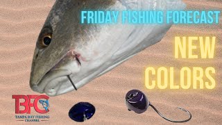 Friday Fishing Forecast 8252023 [upl. by Enilamme]