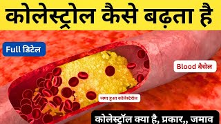 कोलेस्ट्रोल cholesterol कैसे बढ़ता है cholesterol kya hai cholesterol kab badhta hai [upl. by Strader]