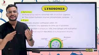 Membraneous Organelles part B kasr alainy 2024 [upl. by Illona]