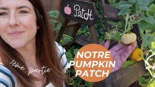 Notre Pumpkin Patch  Ép 3 [upl. by Fridell]