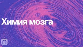 Химия мозга – курс Вячеслава Дубынина  ПостНаука [upl. by Auot892]