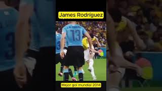 James Rodríguez Mejor GOL del mundial 2014 futbol jamesrodriguez puskasaward seleccióncolombia [upl. by Alric]