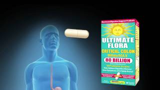 High Potency Probiotic Supplement From ReNew Life [upl. by Christianity718]