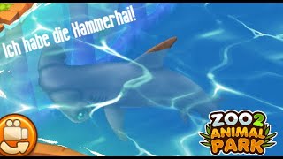 Ich habe die Hammerhai Zoo 2 Animal Park [upl. by Leverett]