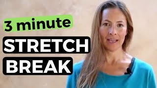 3 Minute Stretch Break  Office Yoga [upl. by Iy]