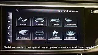 How to Connect to Audi Connect audiconnect [upl. by Zeeba]