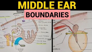 Middle Ear Anatomy  2  Boundaries [upl. by Jillana]