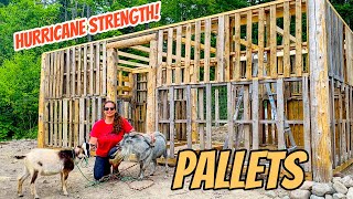 Pallet Shed  Workshop Build  Part 2 [upl. by Nelle]