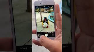 iPhone 6s Camera easy tips and tricks shorts [upl. by Refinne]