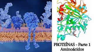 Proteínas  Parte 1 Aminoácidos [upl. by Aihsad]