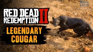 Red Dead Redemption 2 Legendary Animal  Legendary Cougar [upl. by Lorain]