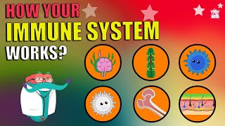 How Does Your Immune System Works What Is Immune System  The Dr Binocs Show  Peekaboo Kidz [upl. by Hollinger841]