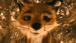 Fantastic Mr Fox Mrs Fox Losses Her Temper [upl. by Ellynad]