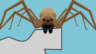 A Guide to Brown Recluse Spiders [upl. by Eiduj992]