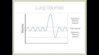 Action of Breathing — Part 2 Volume [upl. by Oijile]