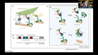 Bioenergetics and Brain Health 2 Mitochondrial Dynamics Biogenesis Disposal and Signaling [upl. by Selena]