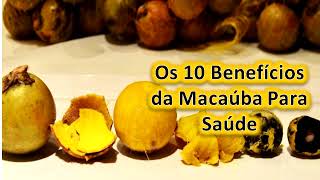 Os 10 Benefícios da Macaúba Para Saúde [upl. by Morehouse833]