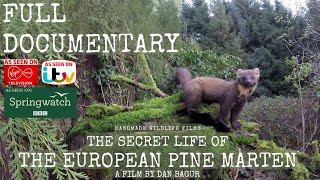 The Secret Life of the Pine Marten  Full Documentary [upl. by Atsirhcal]