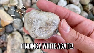 Can You Find Agates in Landscaping Rock  Rockhounding in Common Places [upl. by Ahcsropal]