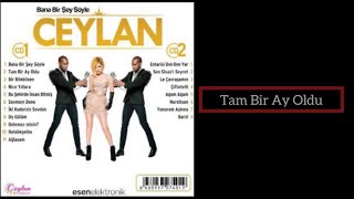 Ceylan  Tam Bir Ay Oldu  2014 [upl. by Ahsayn]