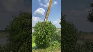 Process of Excavating a Pond with an Excavator [upl. by Strep]