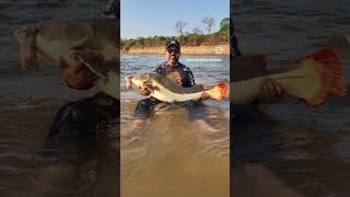 POUSADA REI DAS PIRAIBAS NO ARAGUAIA AQUI VOCÊ PEGAS AS GIGANTES [upl. by Einnaffit]